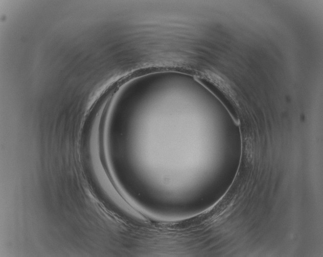 X0000062840676200601201638