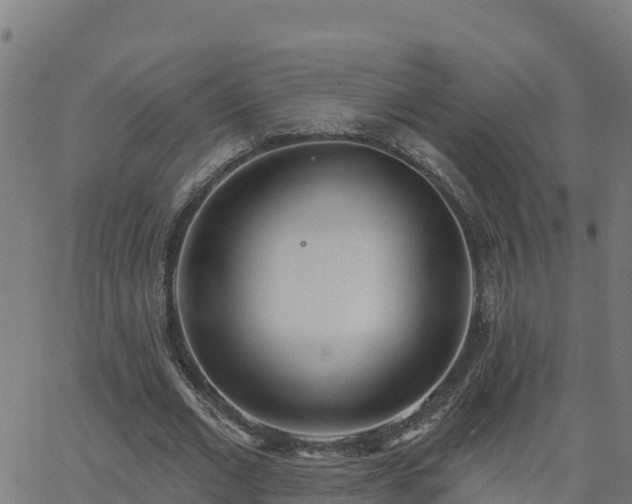 X0000062840677200601201638