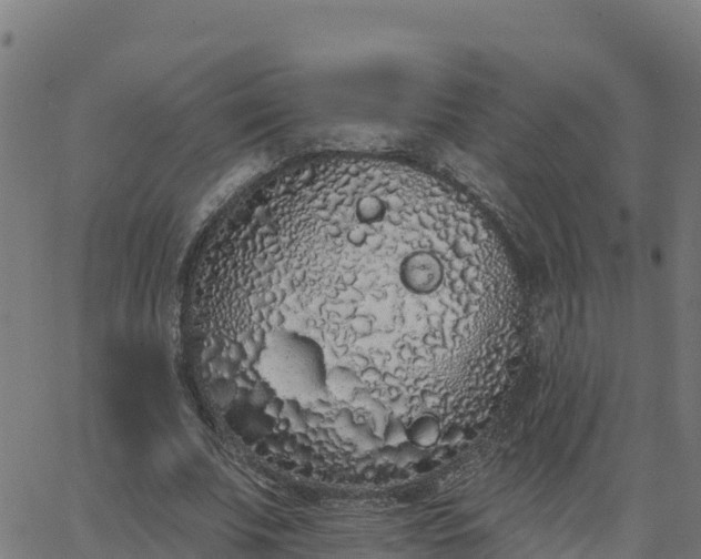 X0000062840679200601201638