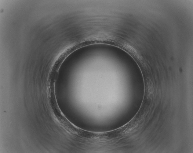 X0000062840680200601201638