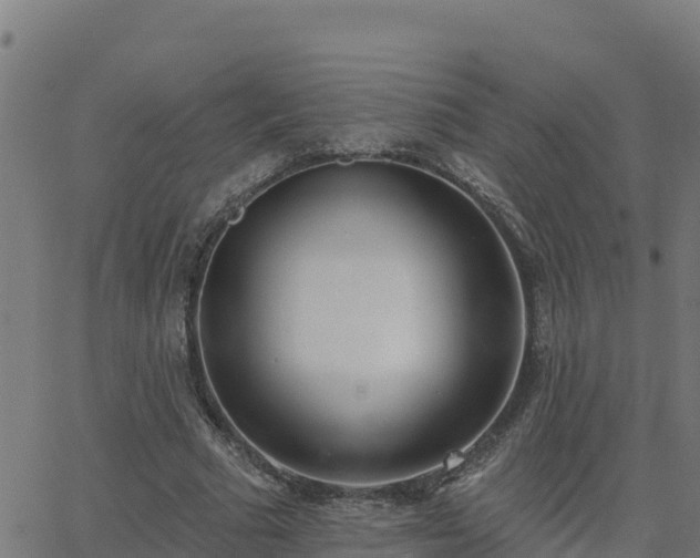 X0000062840681200601201638