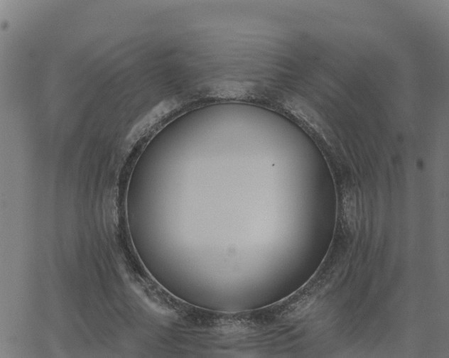 X0000062840682200601201638