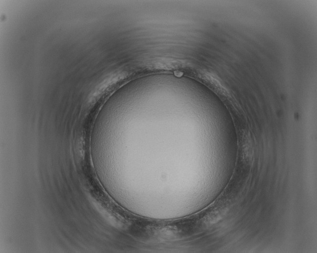 X0000062840683200601201638