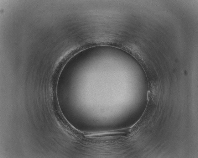 X0000062840684200601201638