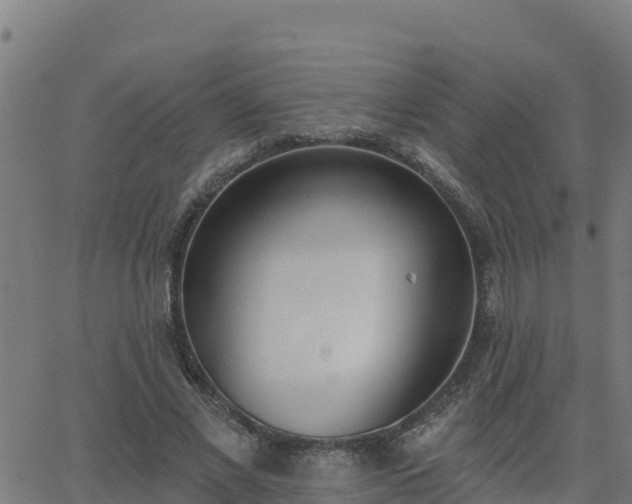 X0000062840685200601201638