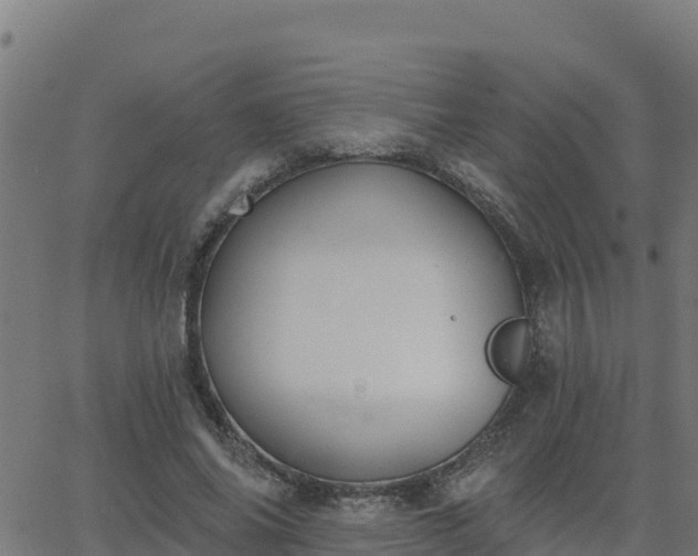 X0000062840686200601201638