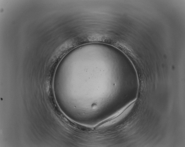 X0000062840687200601201638