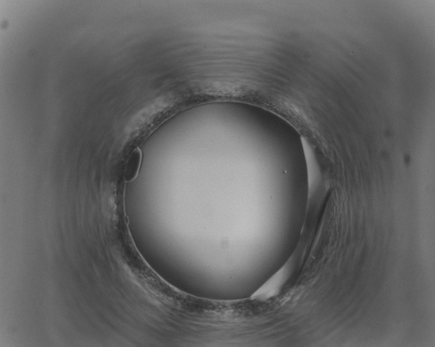 X0000062840688200601201638