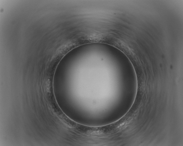 X0000062840689200601201638