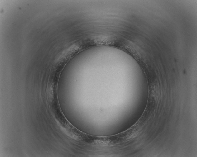 X0000062840690200601201638