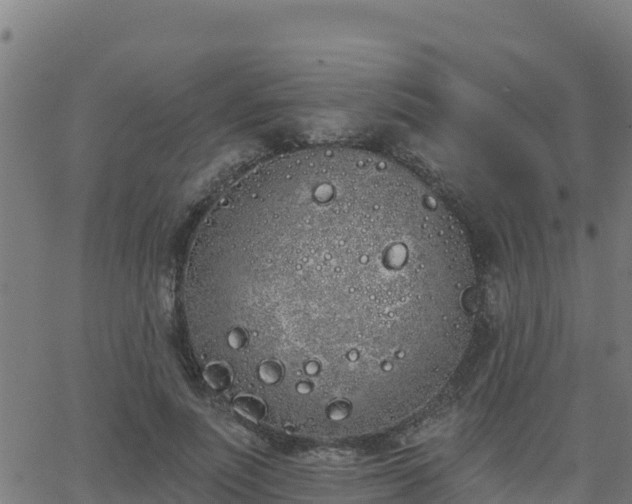 X0000062840691200601201638