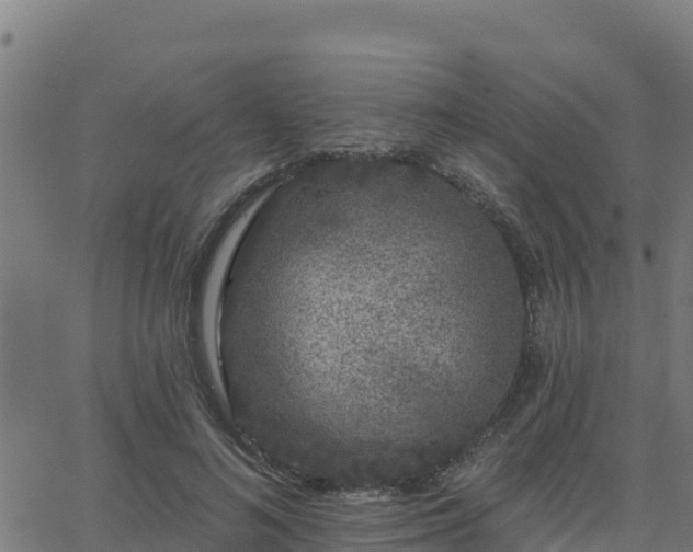 X0000062840692200601201638