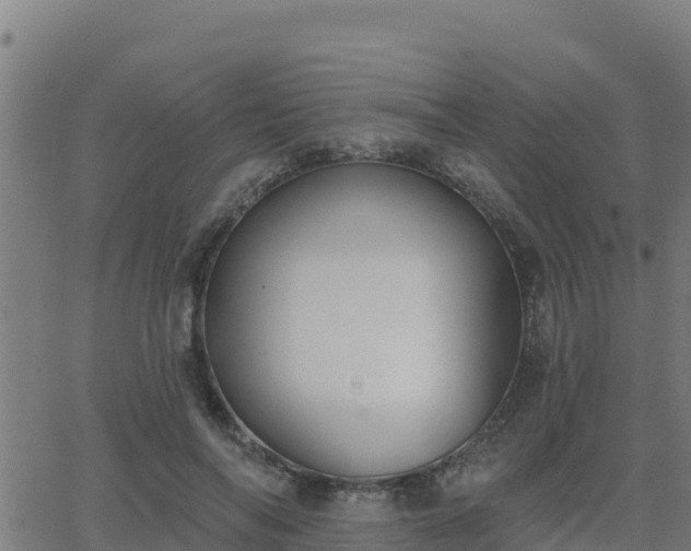 X0000062840694200601201638