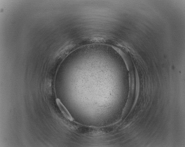 X0000062840696200601201638