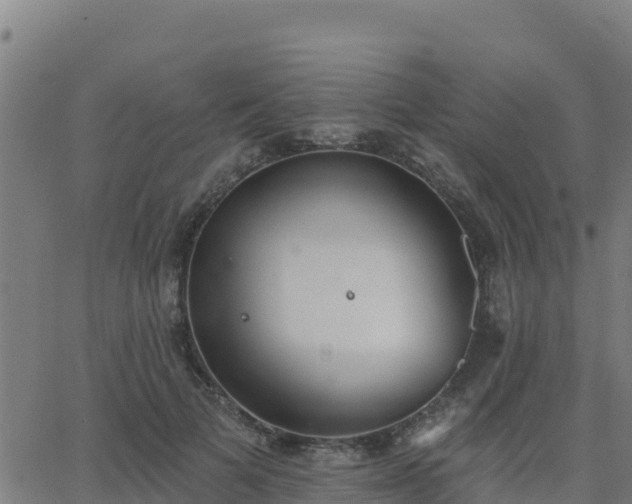 X0000062840697200601201638