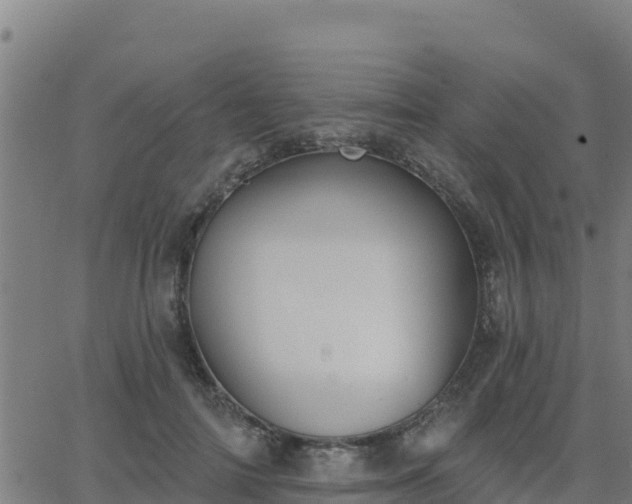 X0000062840698200601201638