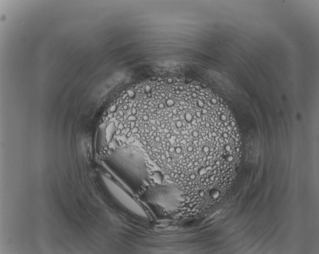 X0000062840699200601201638