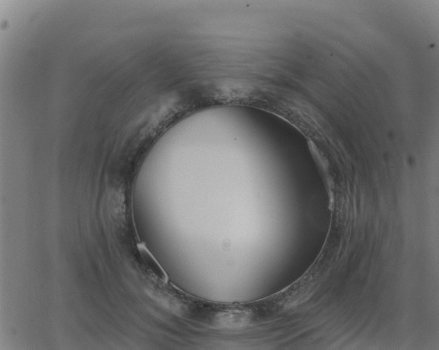 X0000062840700200601201638