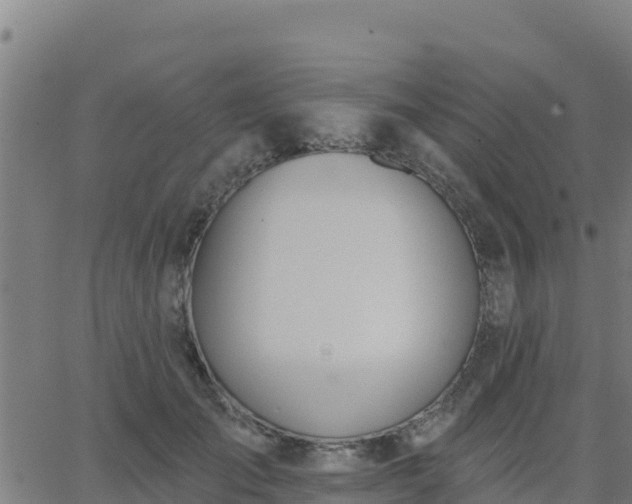 X0000062840701200601201638