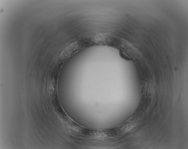 X0000062840702200601201638