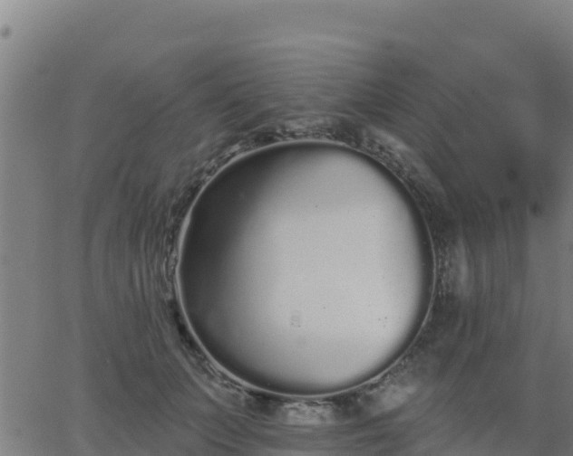 X0000062840703200601201638