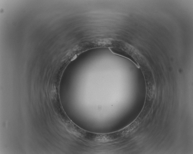 X0000062840704200601201638