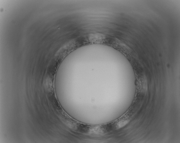 X0000062840705200601201638