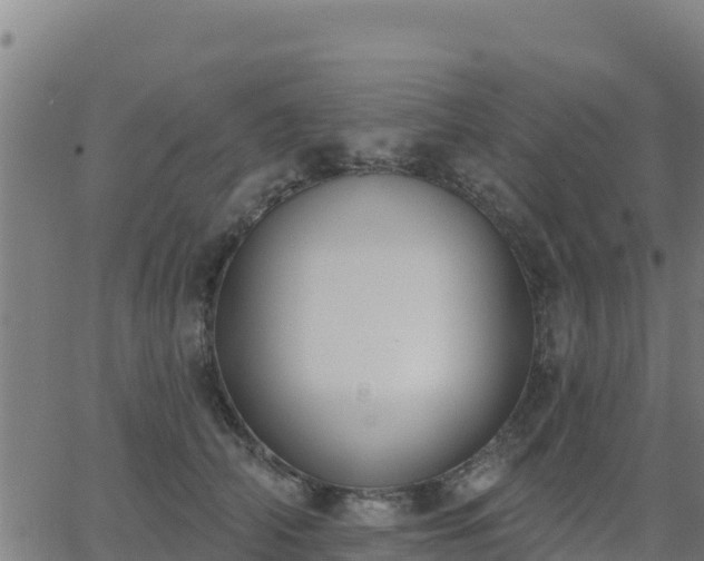 X0000062840706200601201638