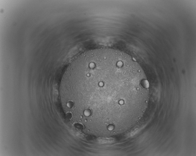 X0000062840707200601201638