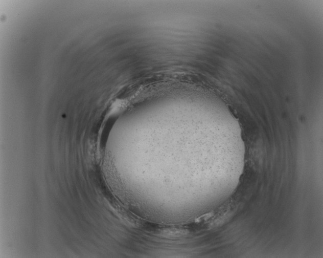 X0000062840708200601201638