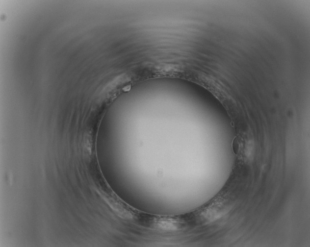 X0000062840710200601201638