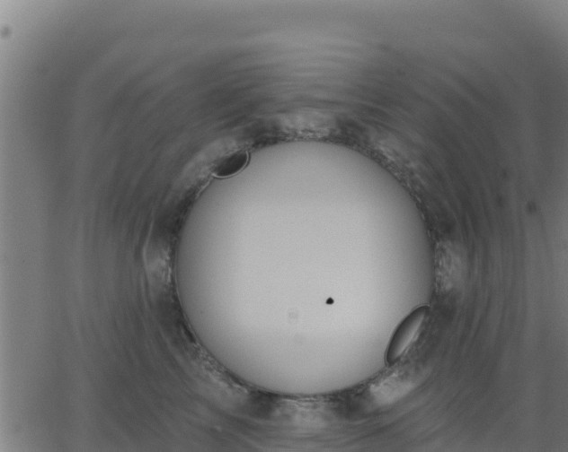 X0000062840713200601201638