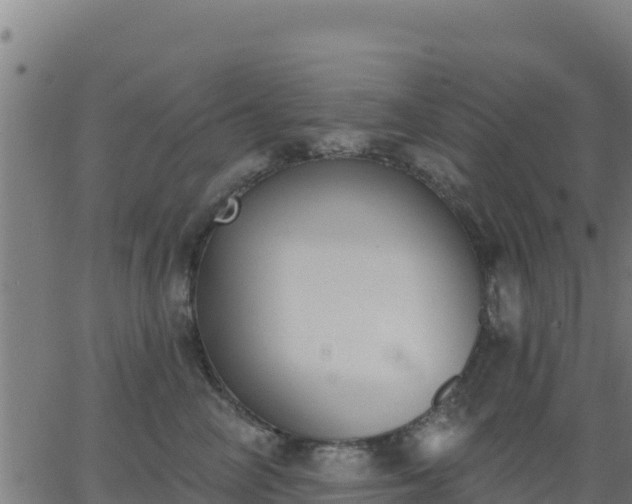 X0000062840714200601201638