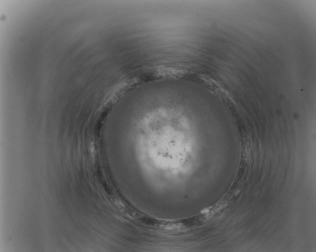 X0000062840716200601201638