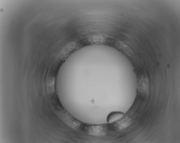 X0000062840717200601201638