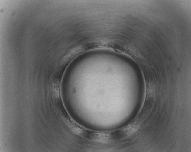 X0000062840719200601201638