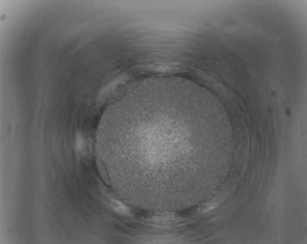 X0000062840720200601201638