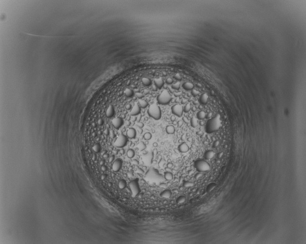 X0000062840721200601201637