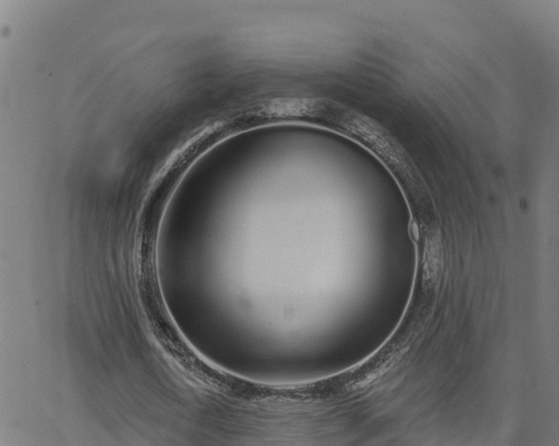 X0000062840722200601201637