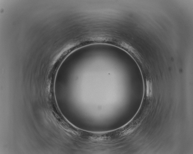 X0000062840723200601201637