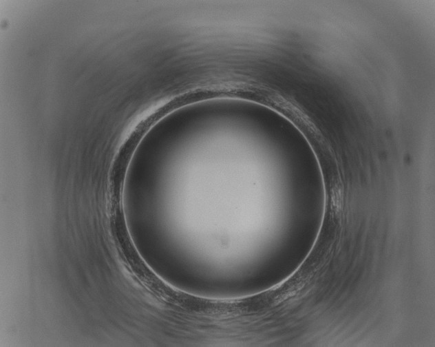 X0000062840724200601201637