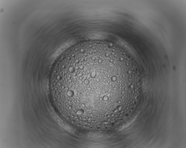 X0000062840725200601201637