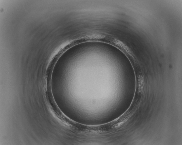 X0000062840726200601201637