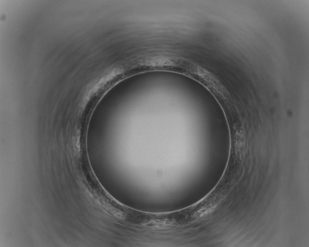 X0000062840727200601201637