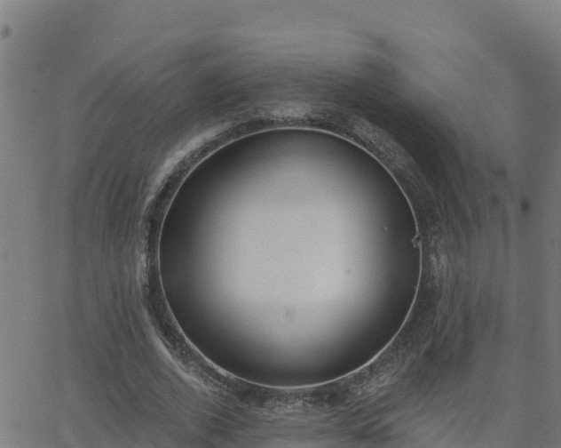 X0000062840728200601201637