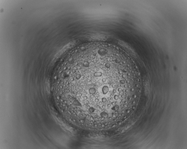 X0000062840729200601201637