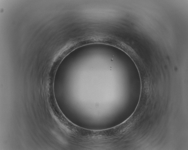 X0000062840730200601201637