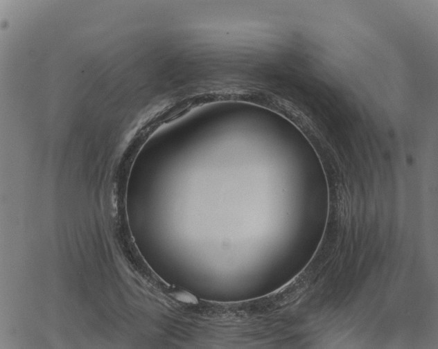 X0000062840731200601201637