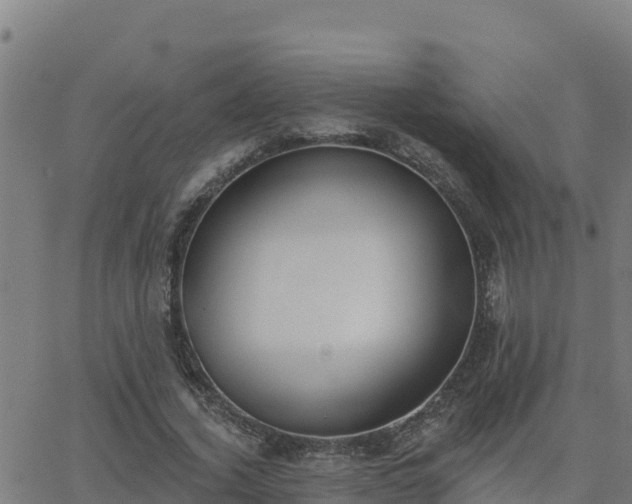 X0000062840732200601201637