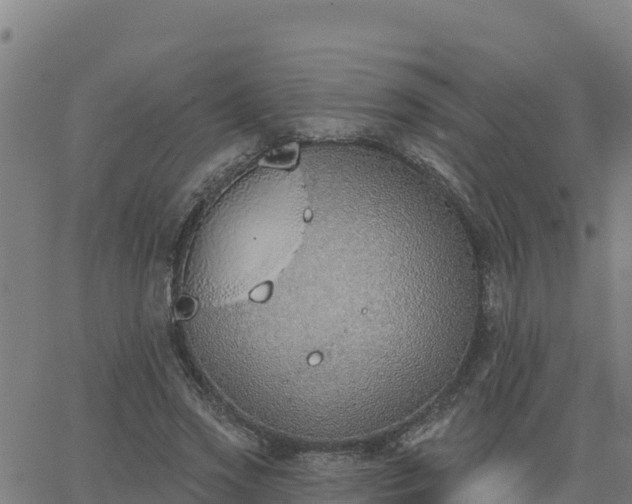 X0000062840733200601201637